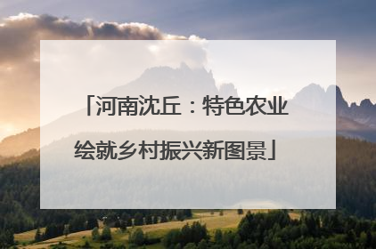 河南沈丘：特色农业绘就乡村振兴新图景