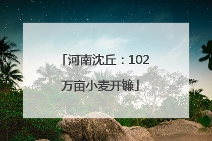 河南沈丘：102 万亩小麦开镰