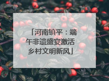 河南镇平：端午非遗盛宴激活乡村文明新风