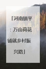 河南镇平：万亩荷花铺就乡村振兴路
