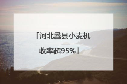 河北蠡县小麦机收率超95%