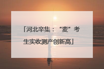 河北辛集：“麦”考生实收测产创新高