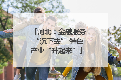 河北：金融服务“沉下去” 特色产业“升起来”