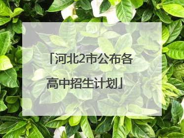 河北2市公布各高中招生计划
