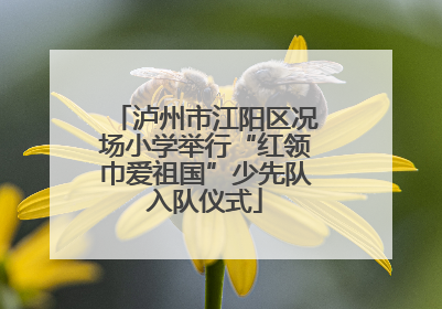 泸州市江阳区况场小学举行“红领巾爱祖国”少先队入队仪式