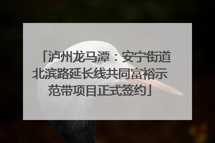 泸州龙马潭：安宁街道北滨路延长线共同富裕示范带项目正式签约