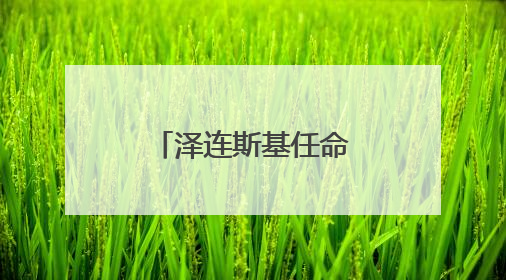 泽连斯基任命新任乌克兰驻北约代表团团长