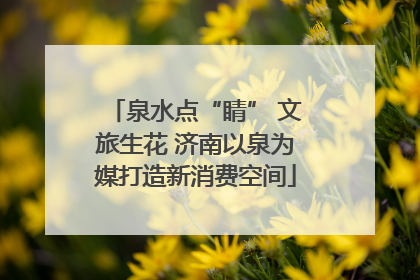 泉水点“睛” 文旅生花 济南以泉为媒打造新消费空间