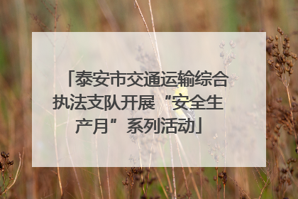 泰安市交通运输综合执法支队开展“安全生产月”系列活动