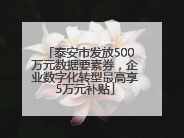 泰安市发放500万元数据要素券，企业数字化转型最高享5万元补贴