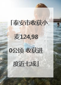泰安市收获小麦124,980公顷 收获进度近七成