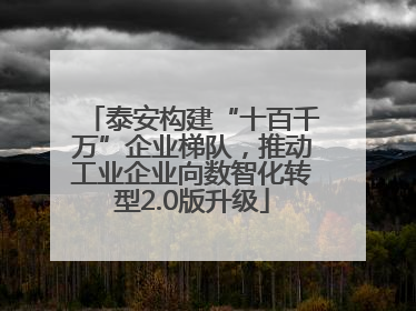 泰安构建“十百千万”企业梯队，推动工业企业向数智化转型2.0版升级