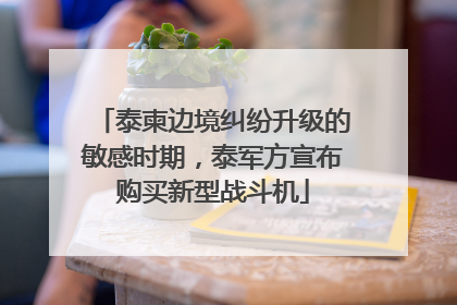 泰柬边境纠纷升级的敏感时期，泰军方宣布购买新型战斗机