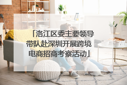 洛江区委主要领导带队赴深圳开展跨境电商招商考察活动