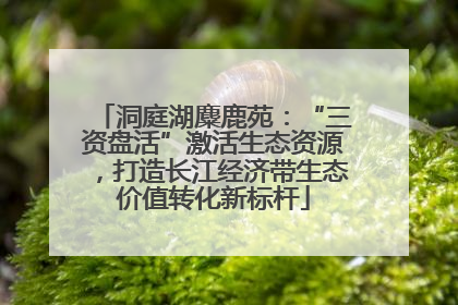 洞庭湖麋鹿苑：“三资盘活”激活生态资源，打造长江经济带生态价值转化新标杆