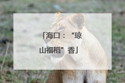海口：“琼山福稻”香