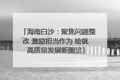 海南白沙：聚焦问题整改 激励担当作为 绘就高质量发展新图景