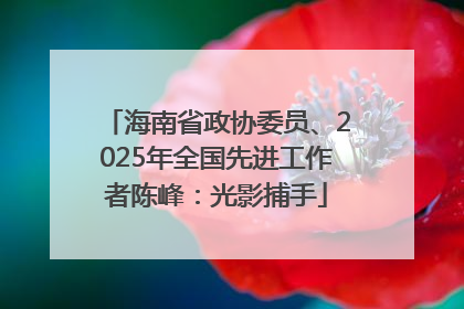 海南省政协委员、2025年全国先进工作者陈峰：光影捕手