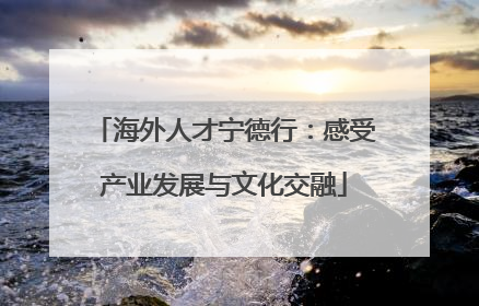 海外人才宁德行：感受产业发展与文化交融