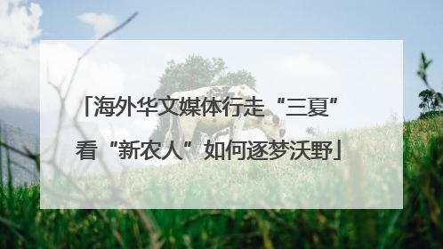 海外华文媒体行走“三夏” 看“新农人”如何逐梦沃野