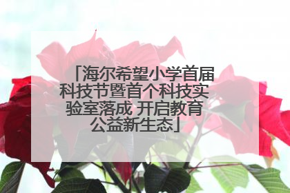 海尔希望小学首届科技节暨首个科技实验室落成 开启教育公益新生态