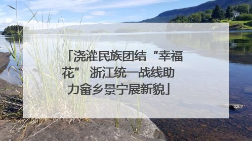 浇灌民族团结“幸福花” 浙江统一战线助力畲乡景宁展新貌