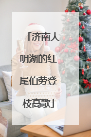 济南大明湖的红尾伯劳登枝高歌