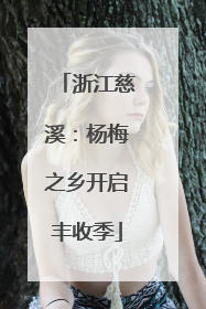 浙江慈溪：杨梅之乡开启丰收季