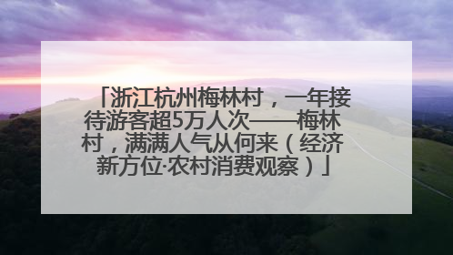浙江杭州梅林村，一年接待游客超5万人次——梅林村，满满人气从何来（经济新方位·农村消费观察）