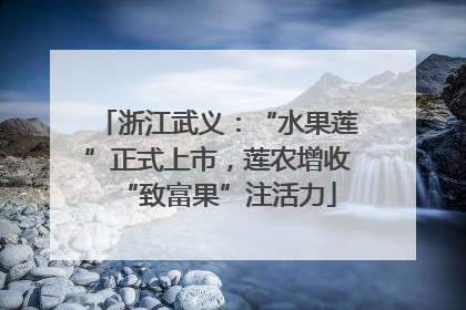 浙江武义：“水果莲”正式上市，莲农增收“致富果”注活力