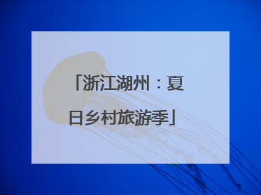 浙江湖州：夏日乡村旅游季
