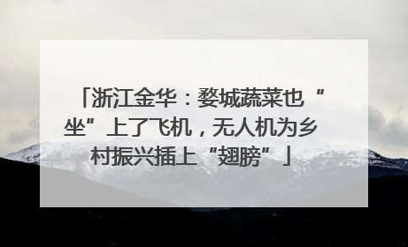 浙江金华：婺城蔬菜也“坐”上了飞机，无人机为乡村振兴插上“翅膀”