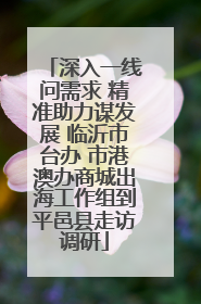 深入一线问需求 精准助力谋发展 临沂市台办 市港澳办商城出海工作组到平邑县走访调研
