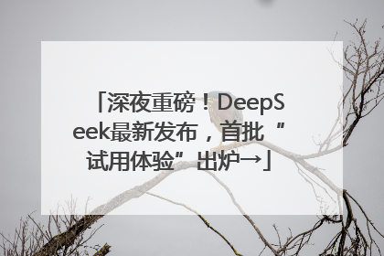 深夜重磅！DeepSeek最新发布，首批“试用体验”出炉→