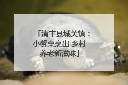 清丰县城关镇：小餐桌烹出 乡村养老新滋味