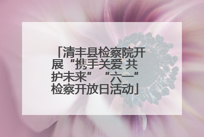 清丰县检察院开展“携手关爱 共护未来”“六一”检察开放日活动