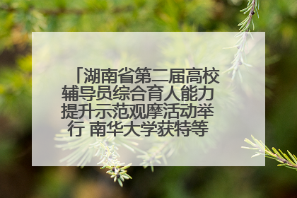 湖南省第二届高校辅导员综合育人能力提升示范观摩活动举行 南华大学获特等奖和一等奖