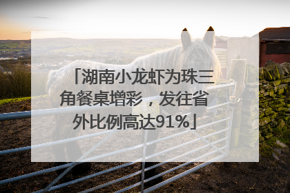湖南小龙虾为珠三角餐桌增彩，发往省外比例高达91%