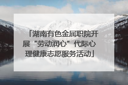 湖南有色金属职院开展“劳动润心”代际心理健康志愿服务活动