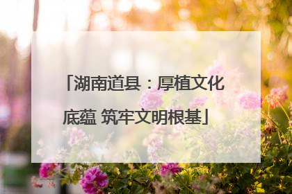 湖南道县：厚植文化底蕴 筑牢文明根基