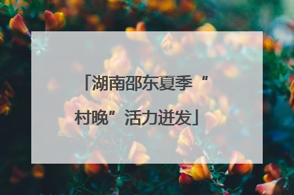 湖南邵东夏季“村晚”活力迸发