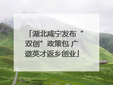 湖北咸宁发布“双创”政策包 广邀英才返乡创业