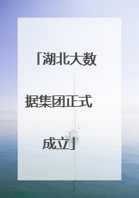 湖北大数据集团正式成立