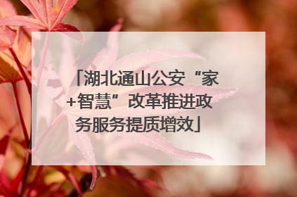 湖北通山公安“家+智慧”改革推进政务服务提质增效