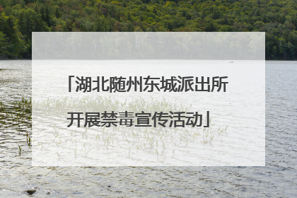 湖北随州东城派出所开展禁毒宣传活动