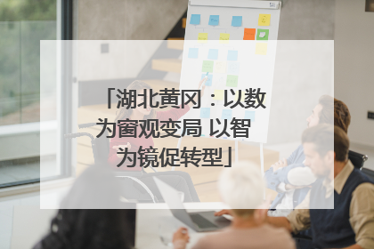 湖北黄冈：以数为窗观变局 以智为镜促转型
