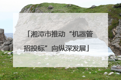 湘潭市推动“机器管招投标”向纵深发展