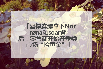 滔搏连续拿下Norrøna和soar背后，零售商开始在垂类市场“捡黄金”