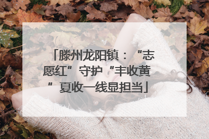 滕州龙阳镇：“志愿红”守护“丰收黄”夏收一线显担当