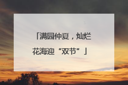 满园仲夏，灿烂花海迎“双节”